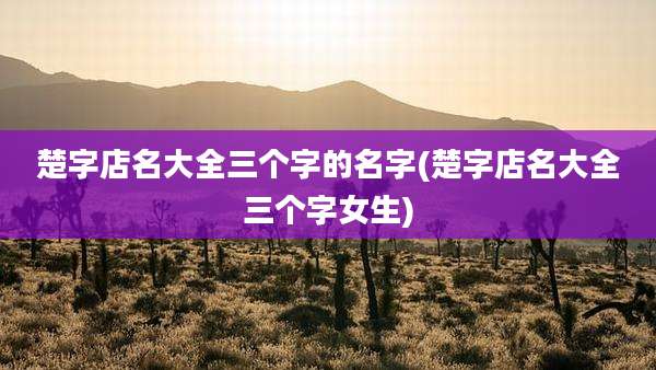 楚字店名大全三个字的名字(楚字店名大全三个字女生)