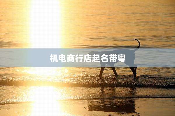 机电商行店起名带粤