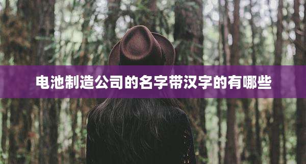 电池制造公司的名字带汉字的有哪些