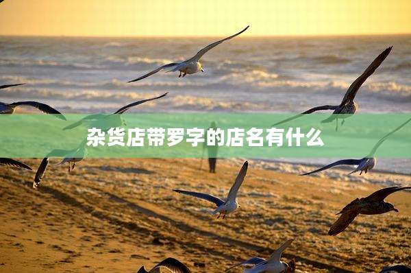 杂货店带罗字的店名有什么