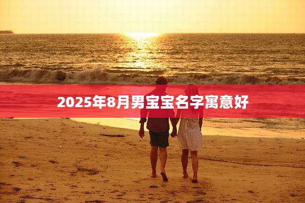 2025年8月男宝宝名字寓意好