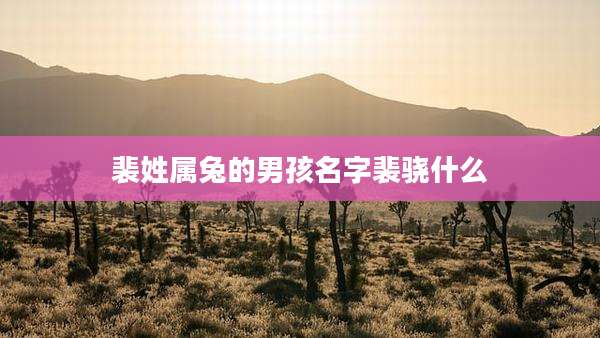 裴姓属兔的男孩名字裴骁什么