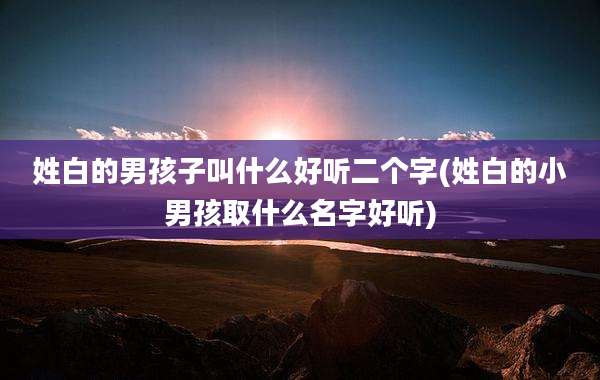 姓白的男孩子叫什么好听二个字(姓白的小男孩取什么名字好听)
