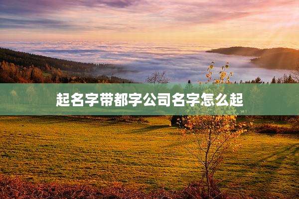 起名字带都字公司名字怎么起