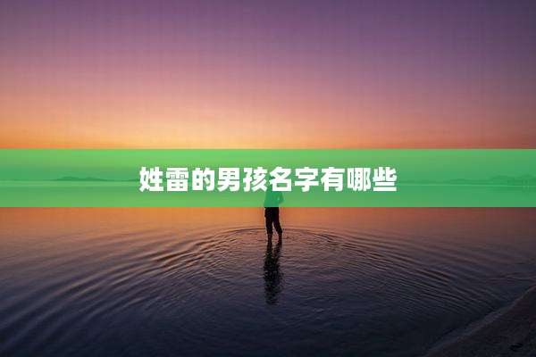 姓雷的男孩名字有哪些
