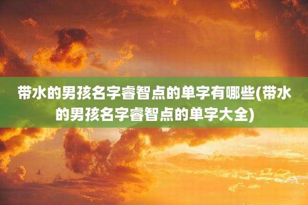 带水的男孩名字睿智点的单字有哪些(带水的男孩名字睿智点的单字大全)