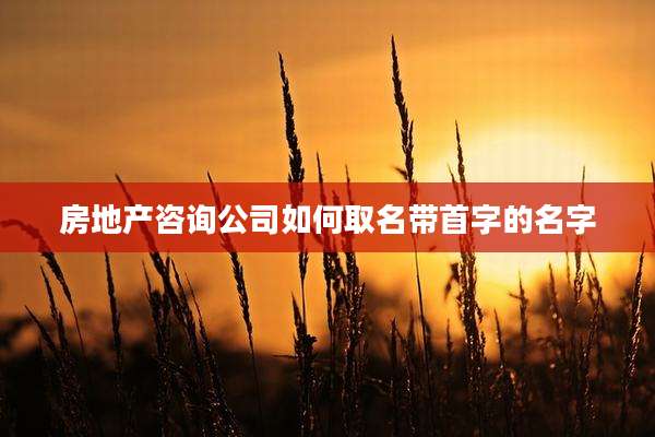 房地产咨询公司如何取名带首字的名字