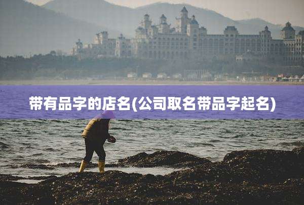 带有品字的店名(公司取名带品字起名)