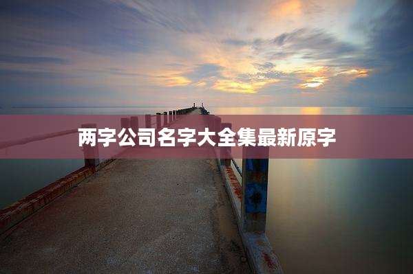 两字公司名字大全集最新原字