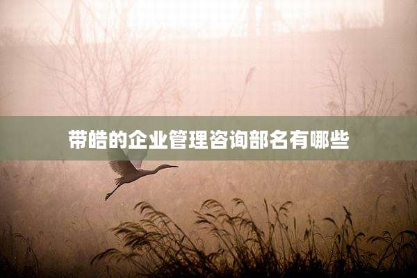 带皓的企业管理咨询部名有哪些