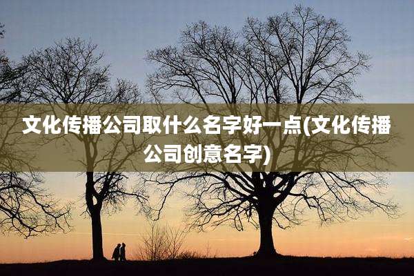 文化传播公司取什么名字好一点(文化传播公司创意名字)