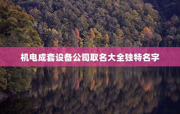 机电成套设备公司取名大全独特名字