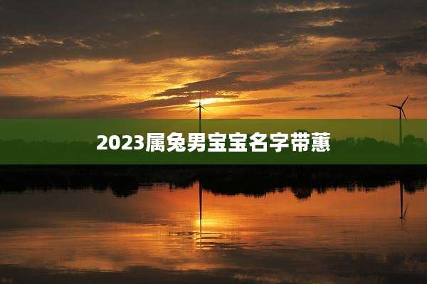 2023属兔男宝宝名字带蕙