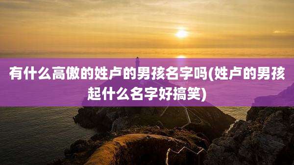 有什么高傲的姓卢的男孩名字吗(姓卢的男孩起什么名字好搞笑)