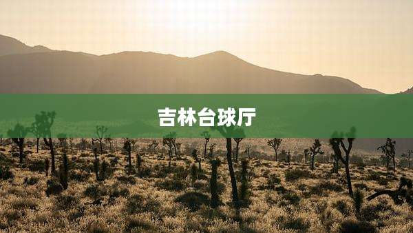吉林台球厅