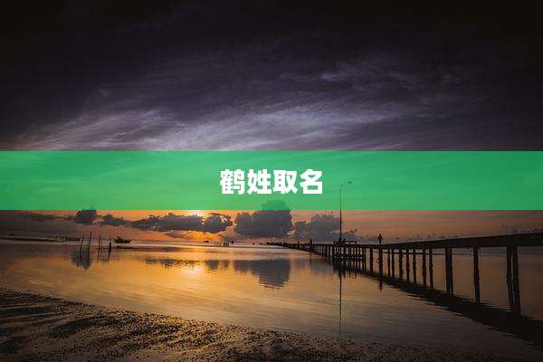 鹤姓取名