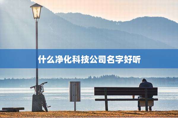 什么净化科技公司名字好听