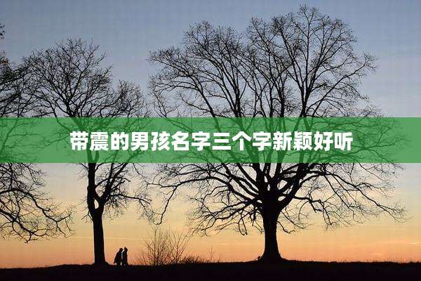 带震的男孩名字三个字新颖好听