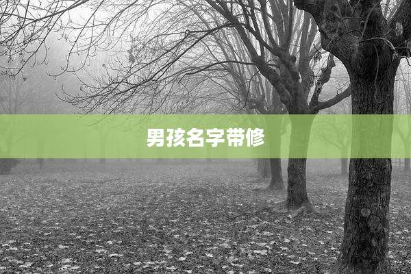 男孩名字带修