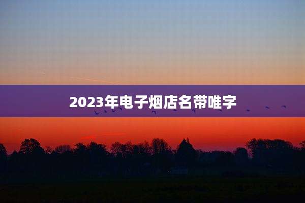 2023年电子烟店名带唯字