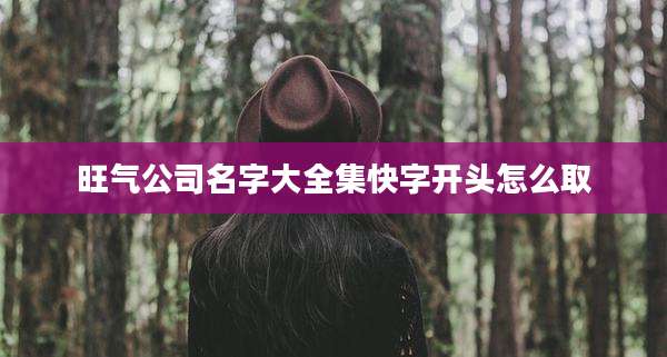 旺气公司名字大全集快字开头怎么取