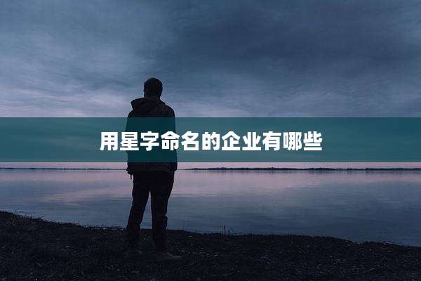 用星字命名的企业有哪些
