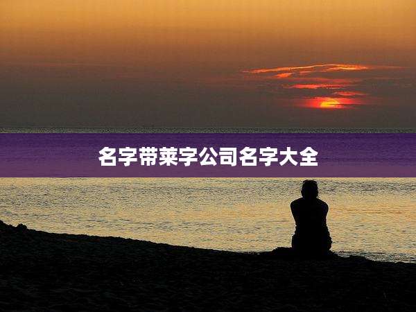 名字带莱字公司名字大全