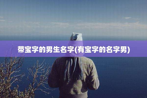 带宝字的男生名字(有宝字的名字男)