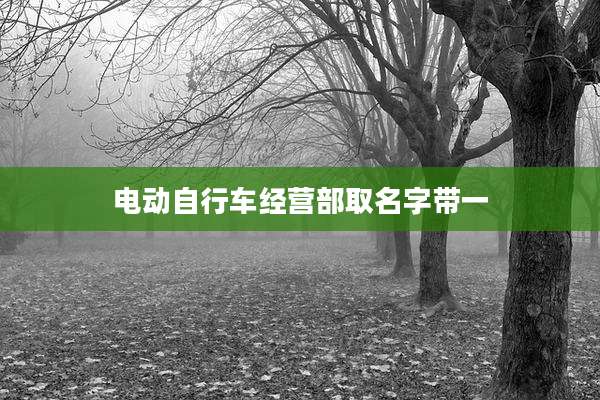 电动自行车经营部取名字带一