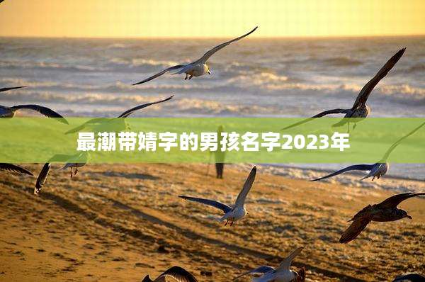 最潮带婧字的男孩名字2023年