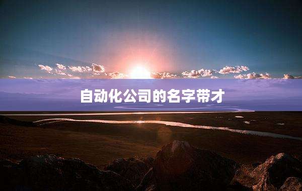 自动化公司的名字带才