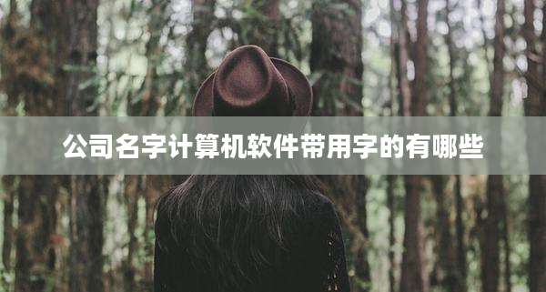公司名字计算机软件带用字的有哪些