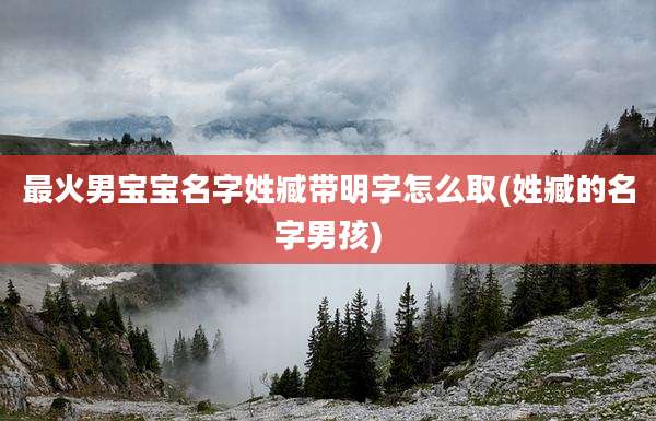 最火男宝宝名字姓臧带明字怎么取(姓臧的名字男孩)