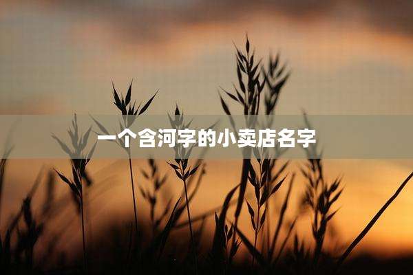 一个含河字的小卖店名字
