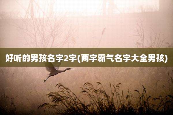好听的男孩名字2字(两字霸气名字大全男孩)