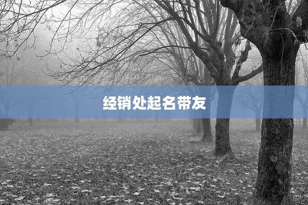经销处起名带友