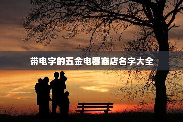 带电字的五金电器商店名字大全