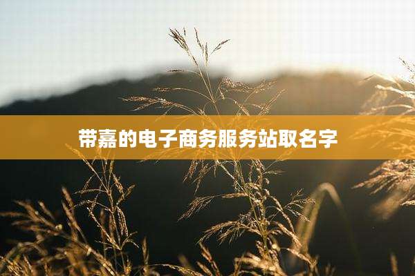 带嘉的电子商务服务站取名字