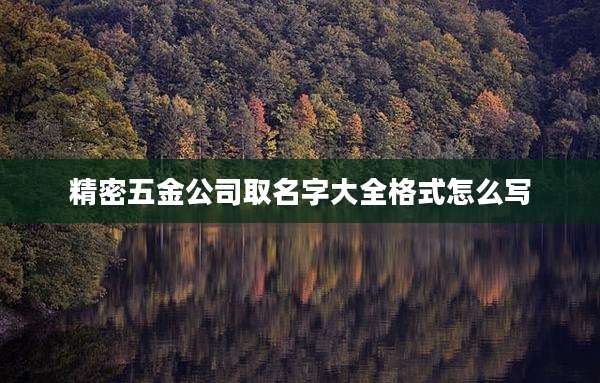 精密五金公司取名字大全格式怎么写