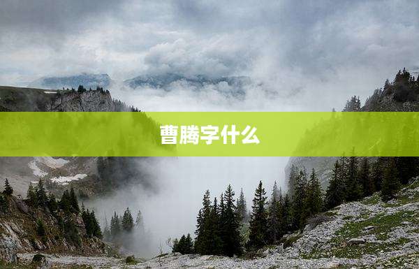 曹腾字什么