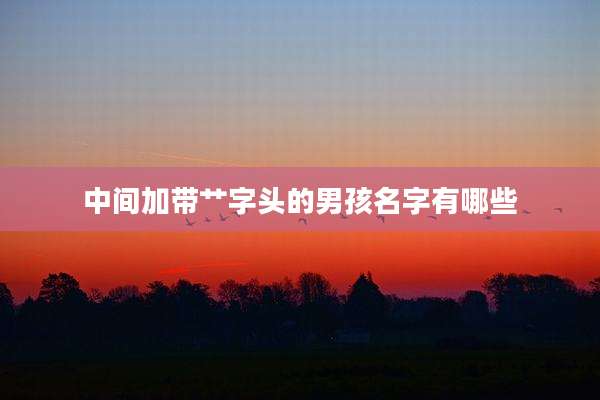 中间加带艹字头的男孩名字有哪些