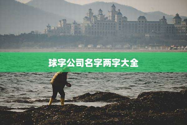 球字公司名字两字大全