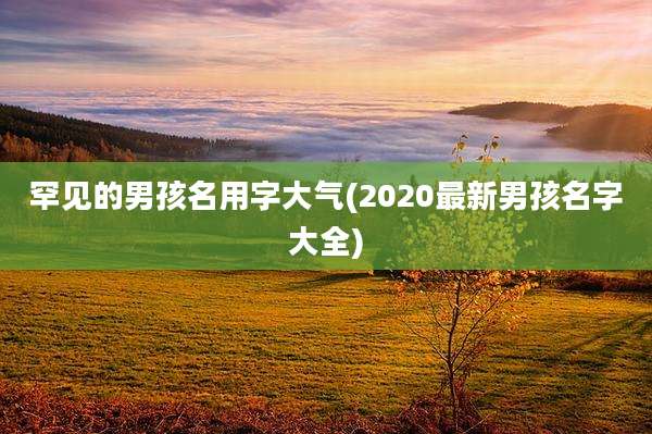 罕见的男孩名用字大气(2020最新男孩名字大全)