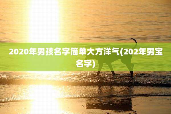 2020年男孩名字简单大方洋气(202年男宝名字)