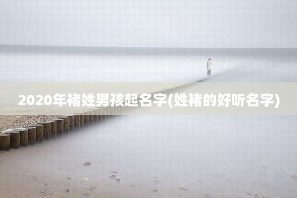 2020年褚姓男孩起名字(姓褚的好听名字)