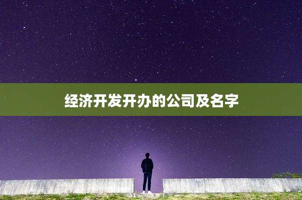 经济开发开办的公司及名字