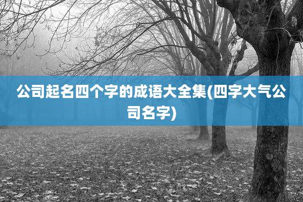 公司起名四个字的成语大全集(四字大气公司名字)