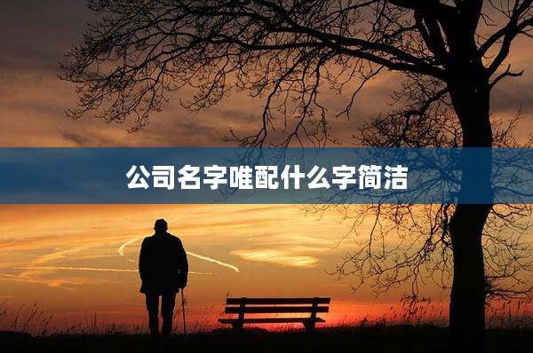 公司名字唯配什么字简洁