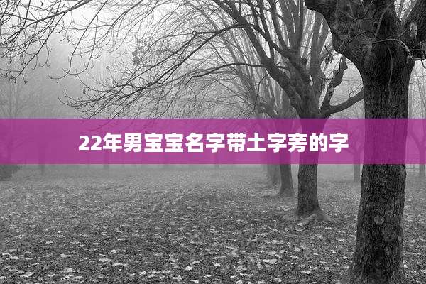 22年男宝宝名字带土字旁的字