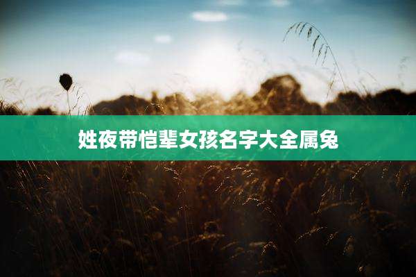姓夜带恺辈女孩名字大全属兔